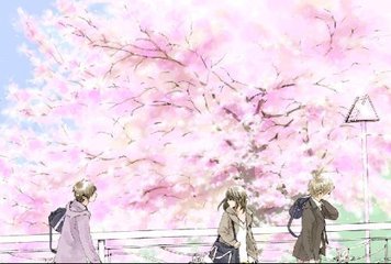 外国人打扑克的剧烈运动